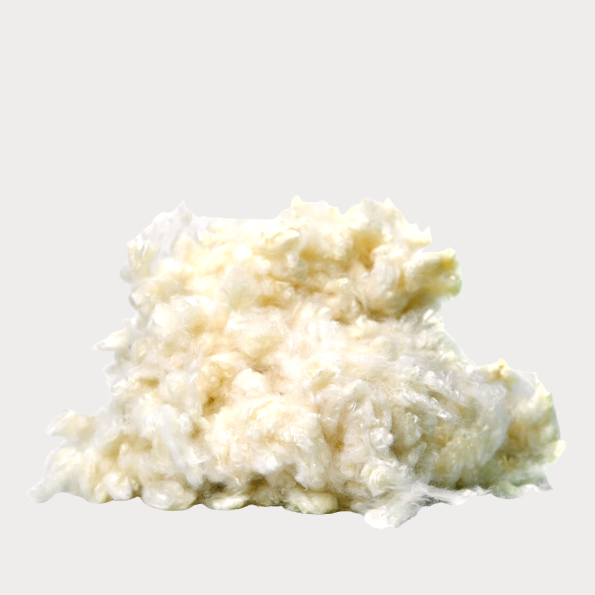 Hand-harvested Kapok Fiber 1 kg