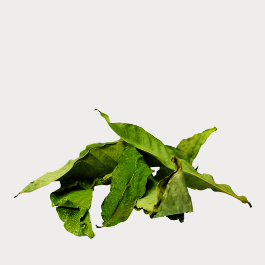 Whole Dried Banaba Leaves